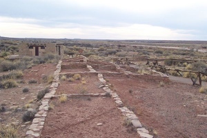 Puerco pueblo